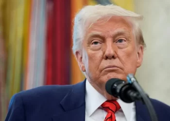 Trump to Call Putin on Ukraine ‘Bloodbath’: Pushes for Ceasefire Amid Stalled Peace Talks